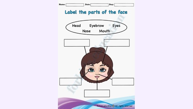 Preview of Parts Of The Face Kindergarten Free Printable