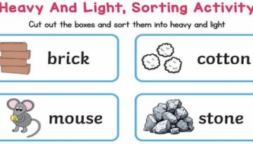 heavy-and-light-sorting-activity