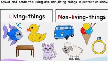 living-and-non-living-things