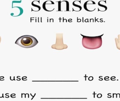 5-senses-names